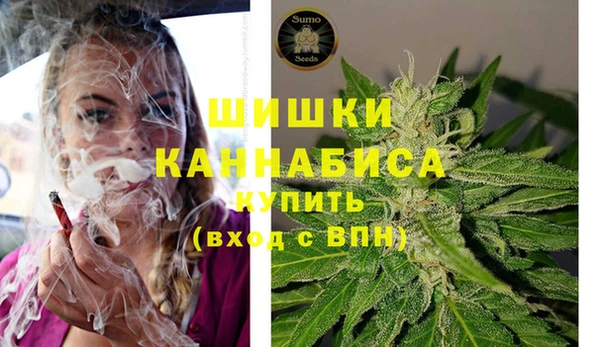 дживик Армянск