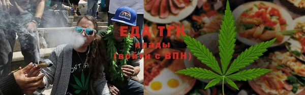 шишки Арсеньев
