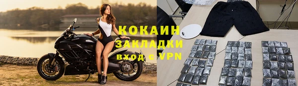 шишки Арсеньев
