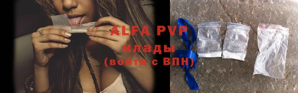 шишки Арсеньев