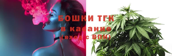 шишки Арсеньев