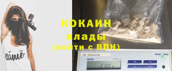 шишки Арсеньев