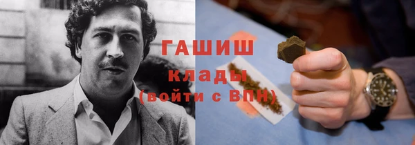 шишки Арсеньев