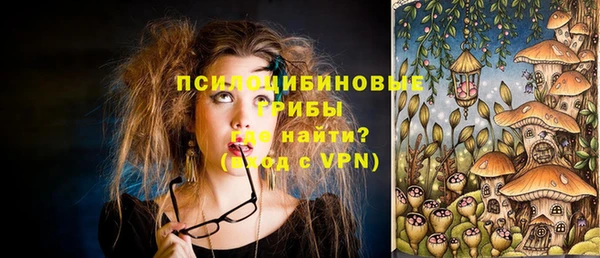 шишки Арсеньев
