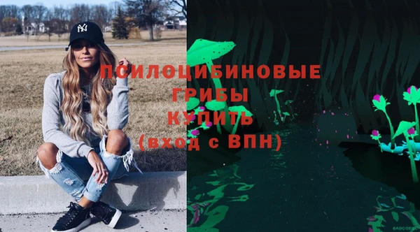 шишки Арсеньев