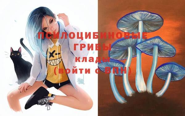 метадон Кинешма