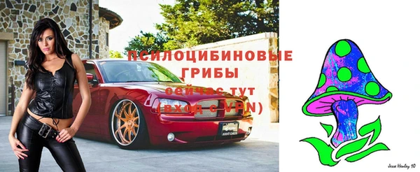 дживик Армянск
