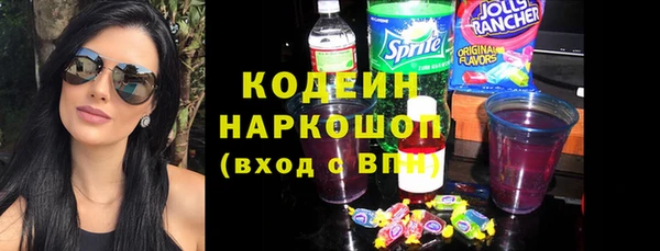 шишки Арсеньев