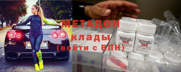 шишки Арсеньев
